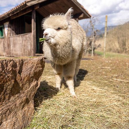 Gartenhotel Moser Appiano Sulla Strada Del Vino Esterno foto